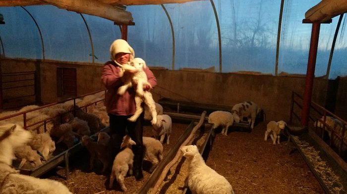 webwxgetmsgimg (3).jpg webwxgetmsgimg (3).jpg