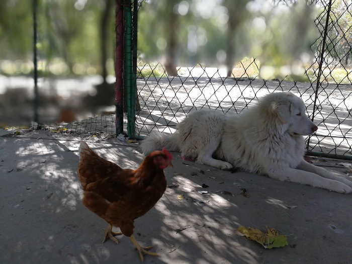 webwxgetmsgimg (2).jpg webwxgetmsgimg (2).jpg