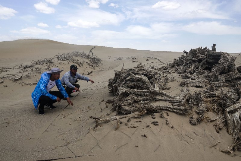 1920249813.jpg 1920249813.jpg